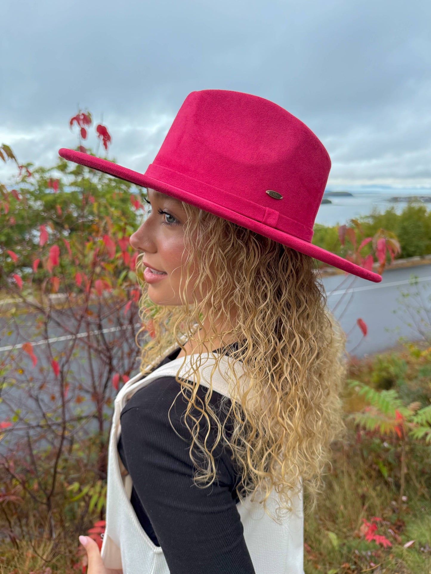 Camden Faux Suede C.C Rancher Hat VFC0001